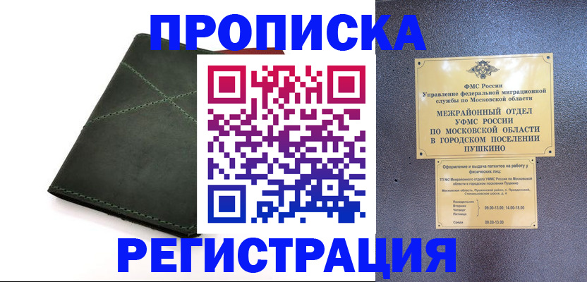 прописка в квартире в Пересвете